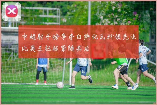 中超射手榜争夺白热化瓦科领先法比奥王钰栋紧随其后