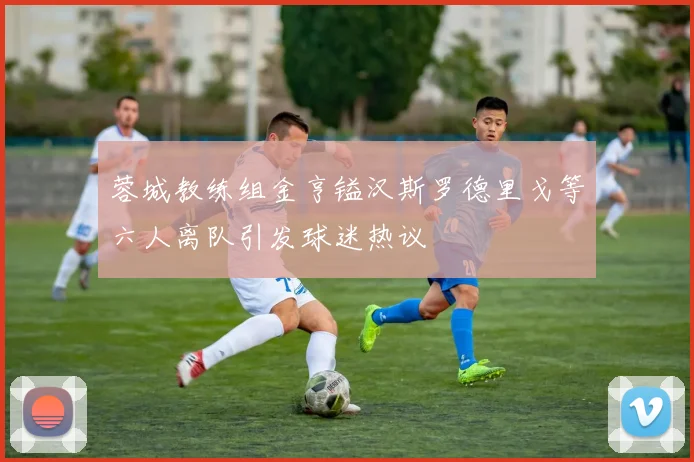 蓉城教练组金亨镒汉斯罗德里戈等六人离队引发球迷热议