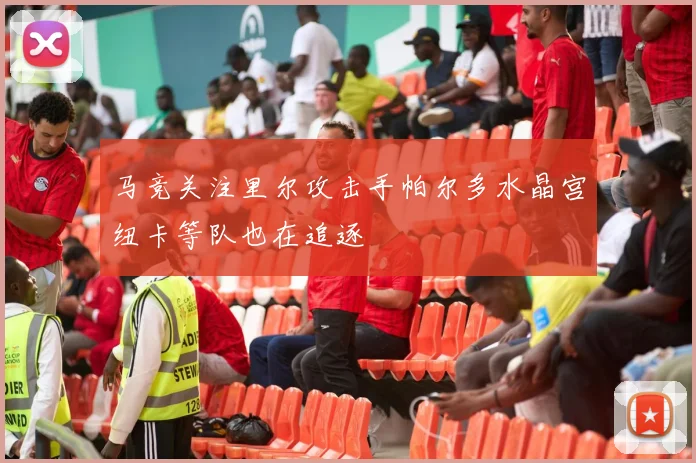 马竞关注里尔攻击手帕尔多水晶宫纽卡等队也在追逐