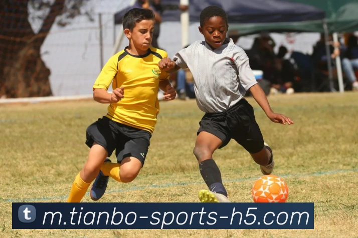 天博体育平台生态图